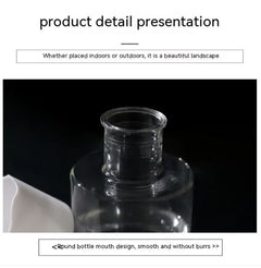 Transparent Small Hydroponic Plant Pot
